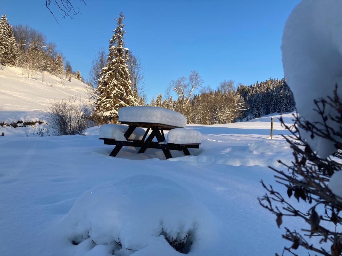Luxury Chalet Katarinka, Belianske Tatry Osturna Exteriör bild